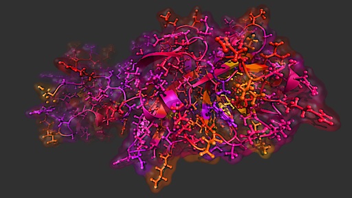 Homologiemodell der Haupt-Protease des SARS-CoV-2